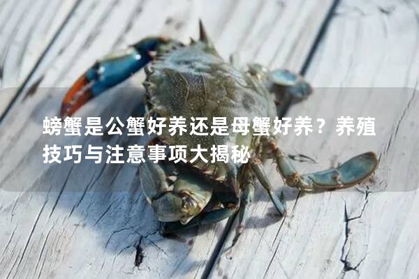 螃蟹是公蟹好養還是母蟹好養？養殖技巧與注意事項大揭秘